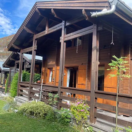 Paisible Avec Cheminée Et Animaux Acceptés Près Des Pistes - Fr-1-624-176 Chalet *