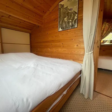 Paisible Avec Cheminée Et Animaux Acceptés Près Des Pistes - Fr-1-624-176 * Sixt